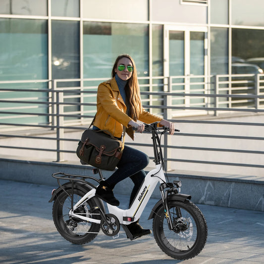 222222024 Hot Sale Hidoes BF1 48V 13AH Electric Bike E Bike Electric Motorcycle Bicycle With 20inch Fat Tire