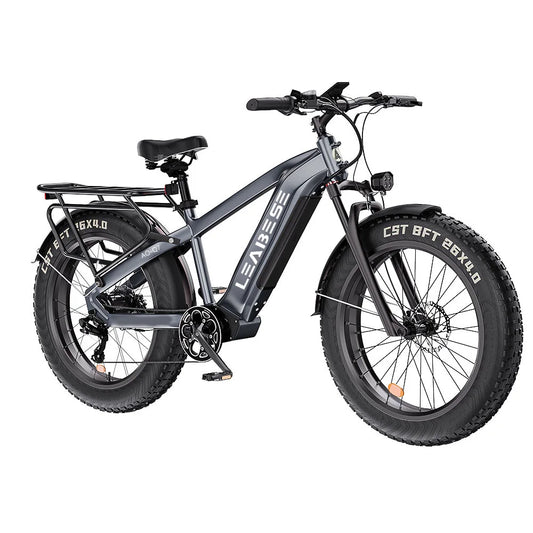 Factory Bike 48V 750W 15.6AH Powerful Electric Motorcycle Off Road Electric Dirt Bikes Ebike Mountain Ebike